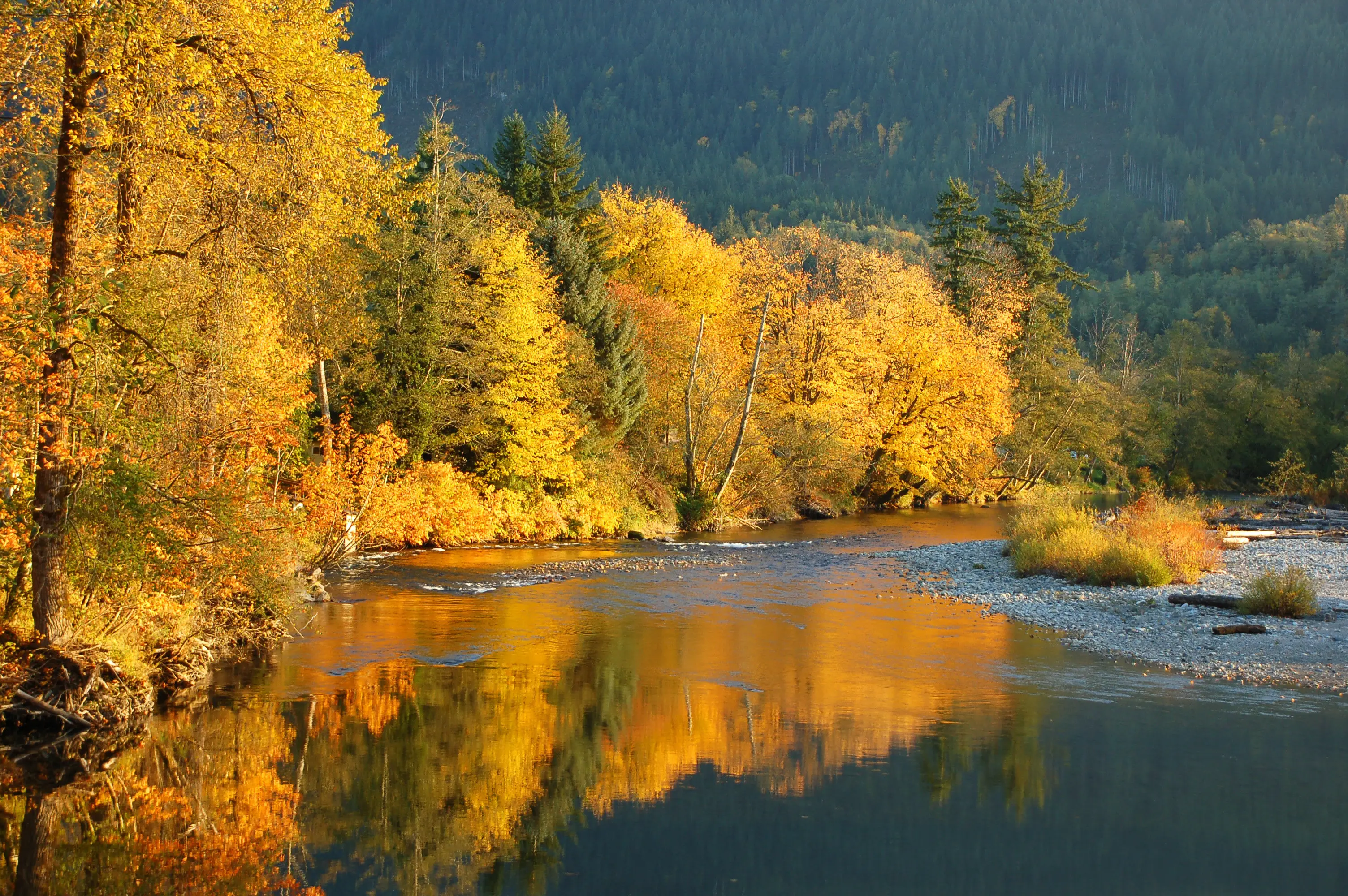 Arlington, Washington