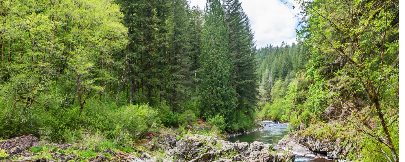 Living in Battle Ground, Washington
