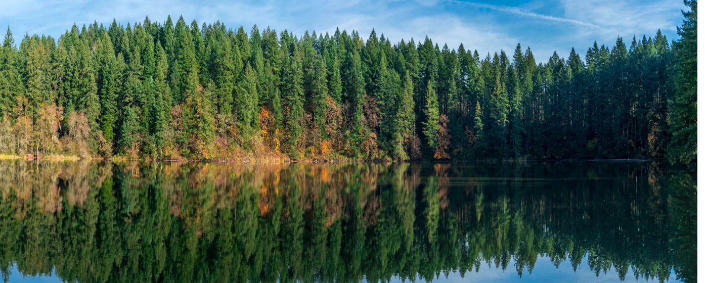 Living in Camas, Washington