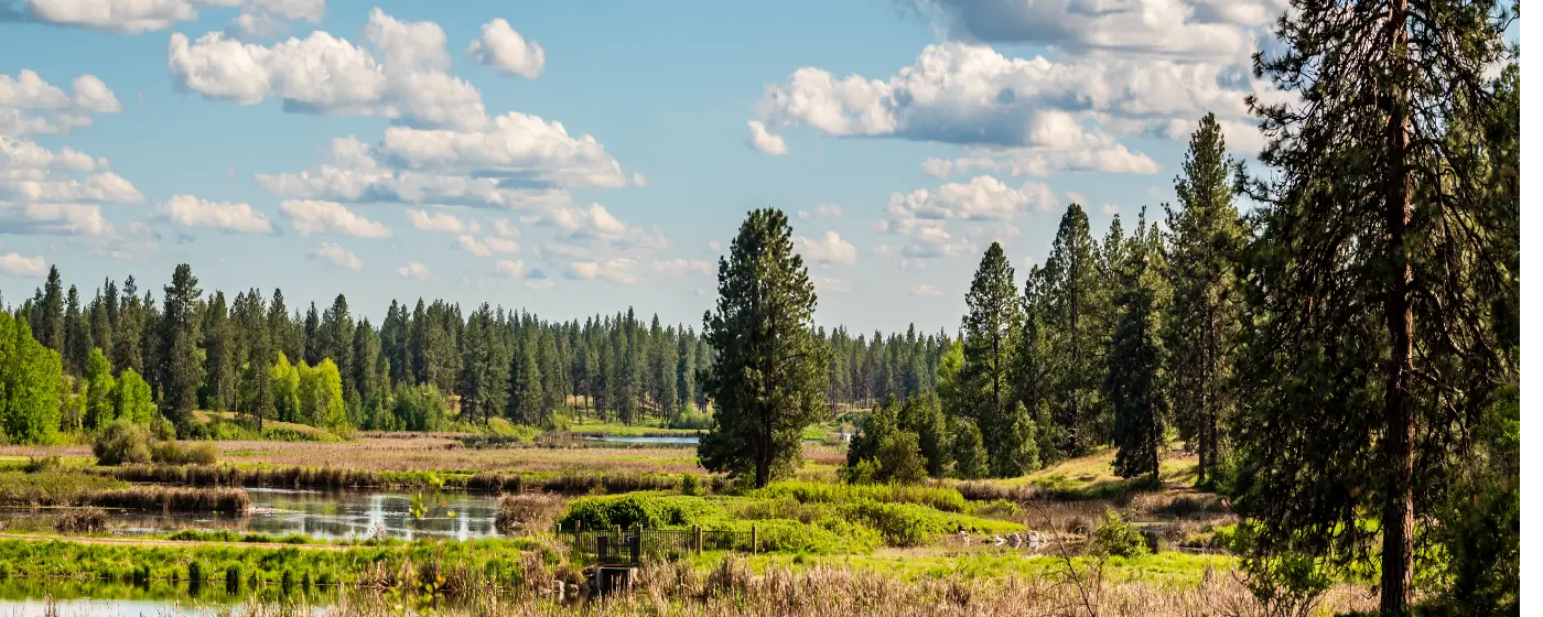 Living in Cheney, Washington