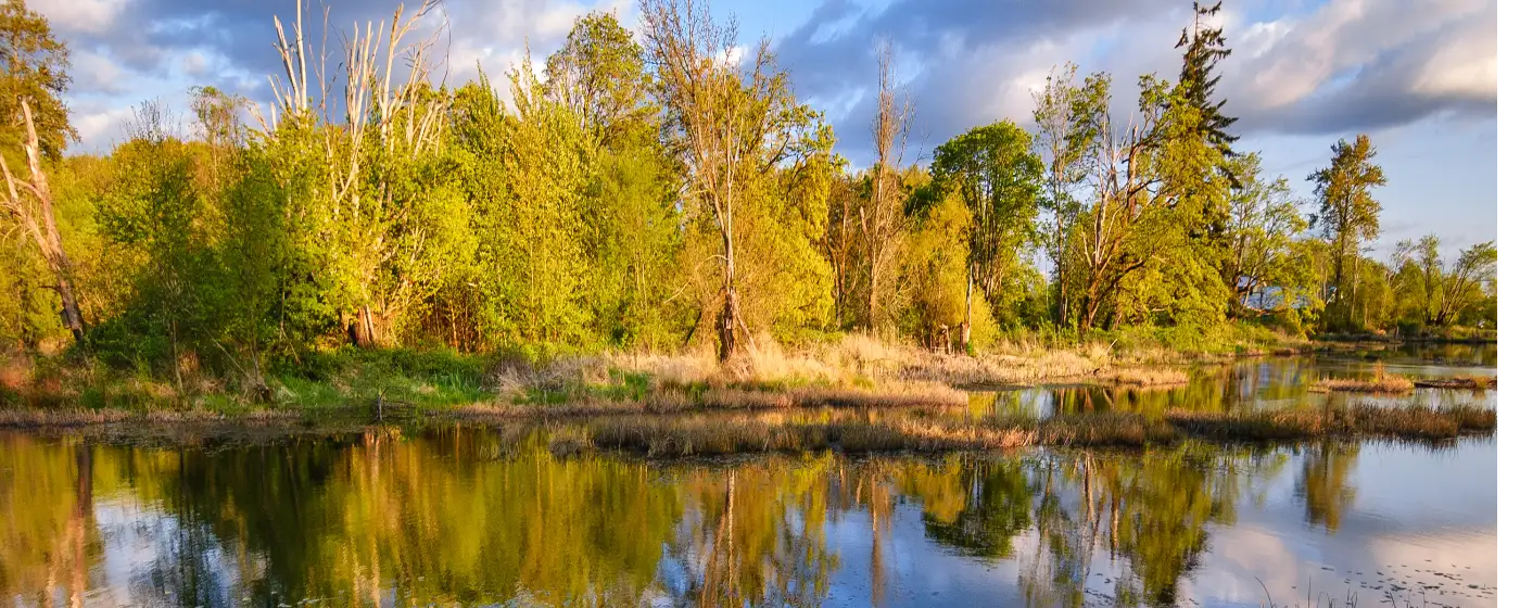 Living in Fort Lewis, Washington