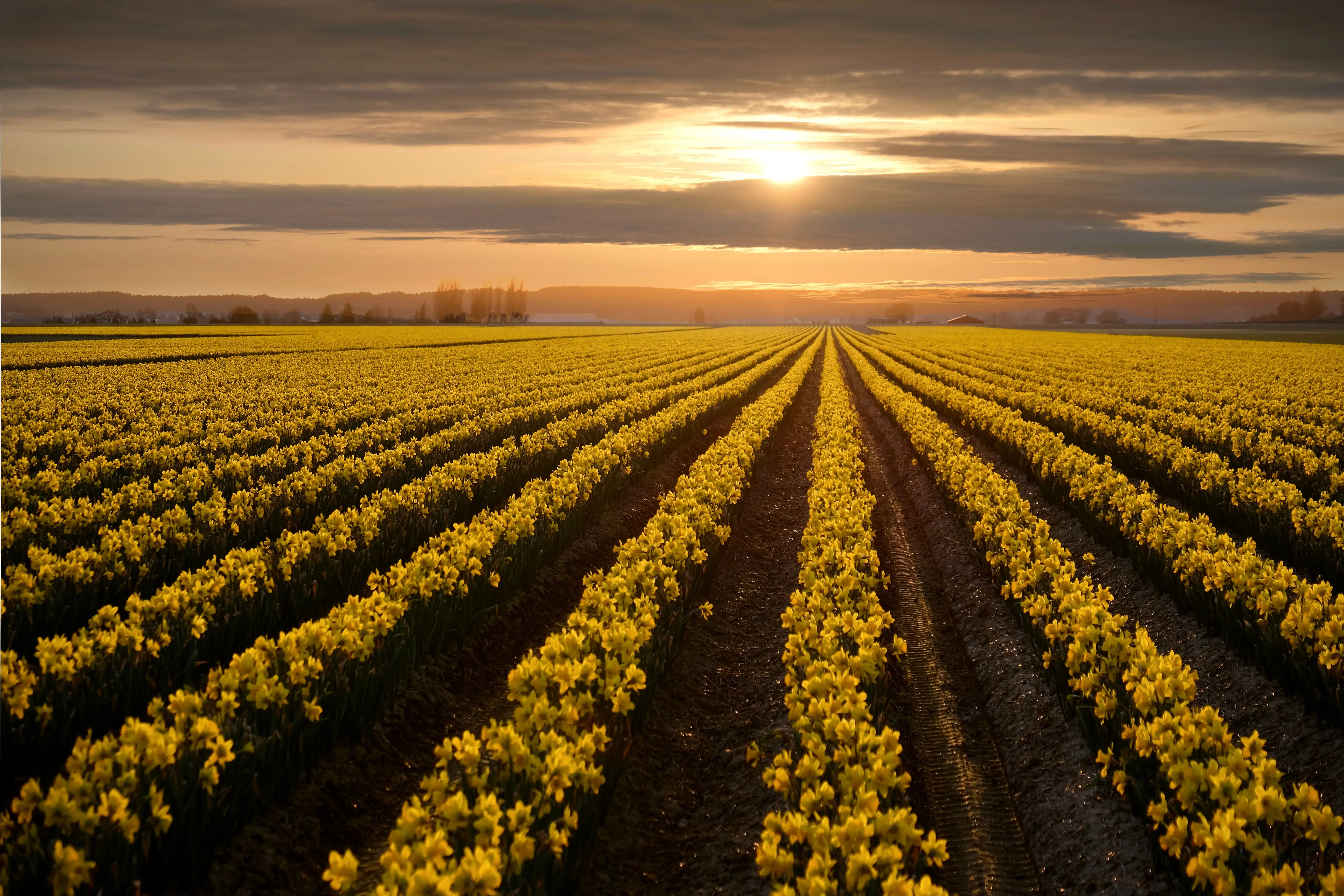 Lynden, Washington