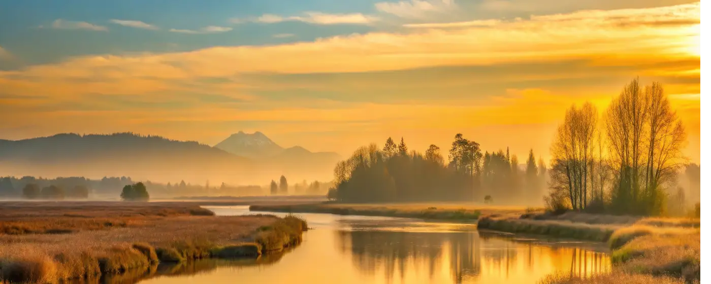 Living in Mill Creek, Washington