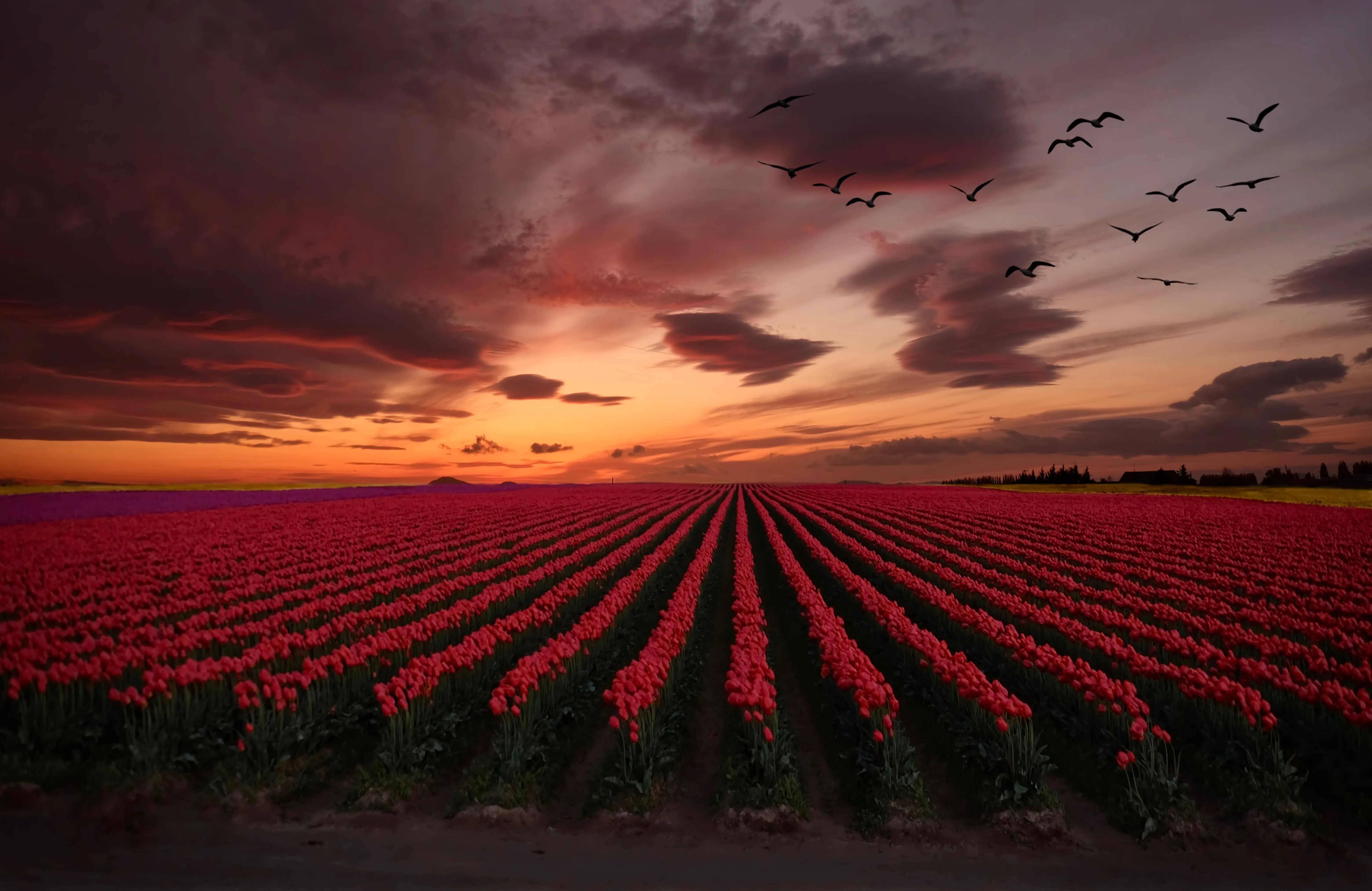 Mount Vernon, Washington