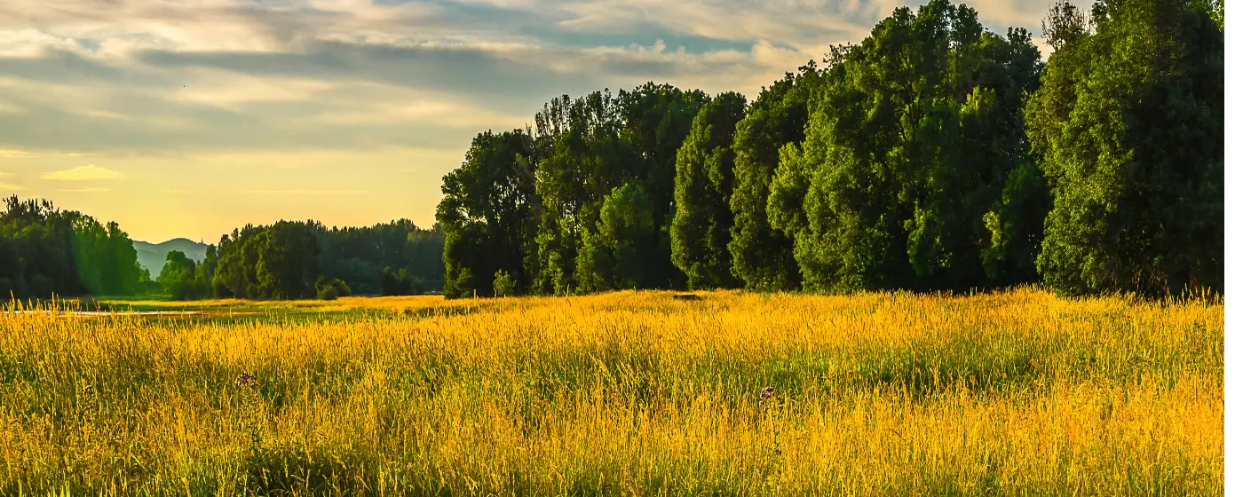 Living in Ridgefield, Washington