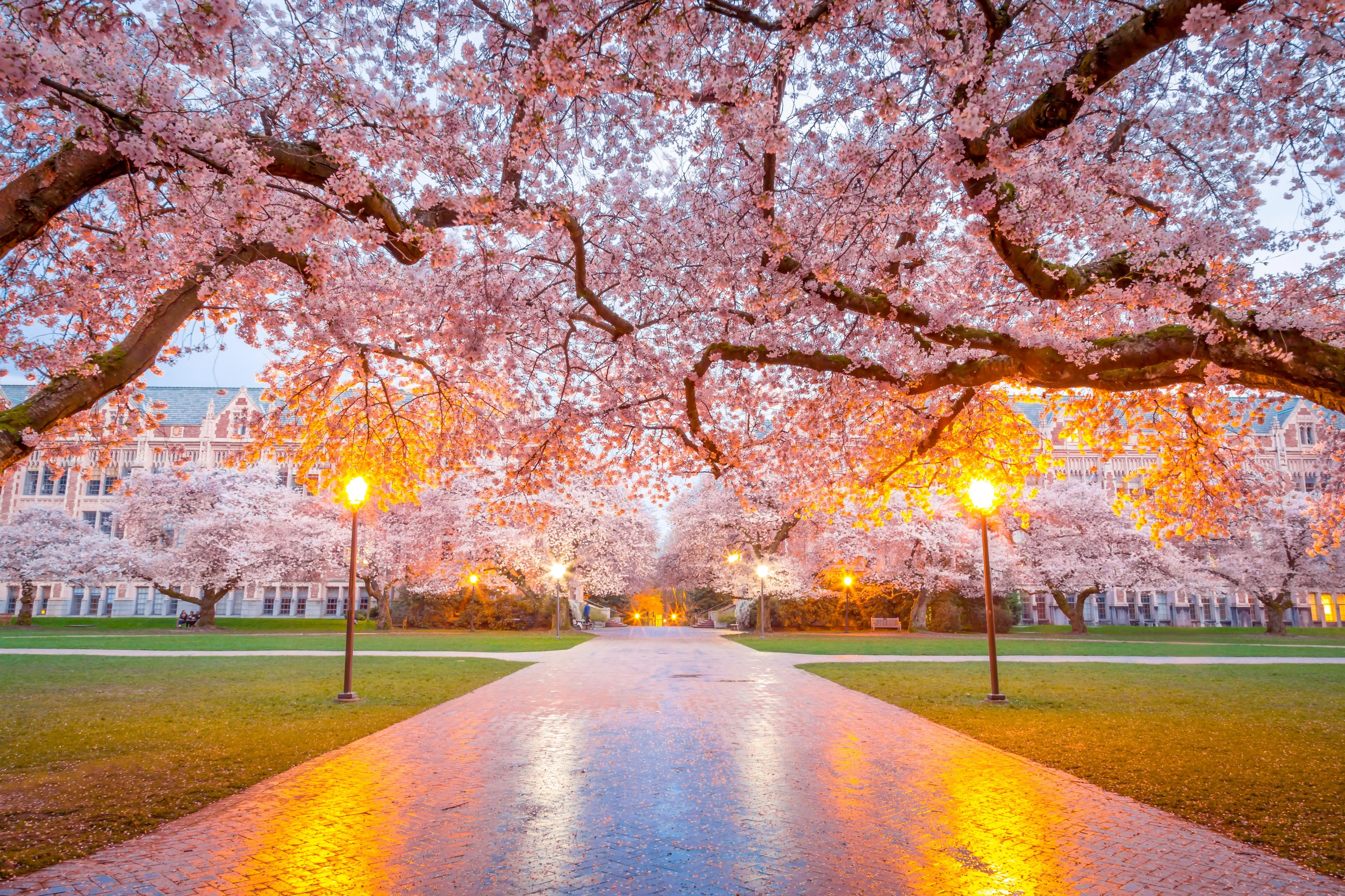 Seattle, Washington