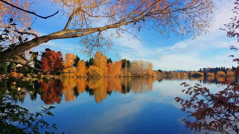 Green Lake in Seattle Washington in fall foliage