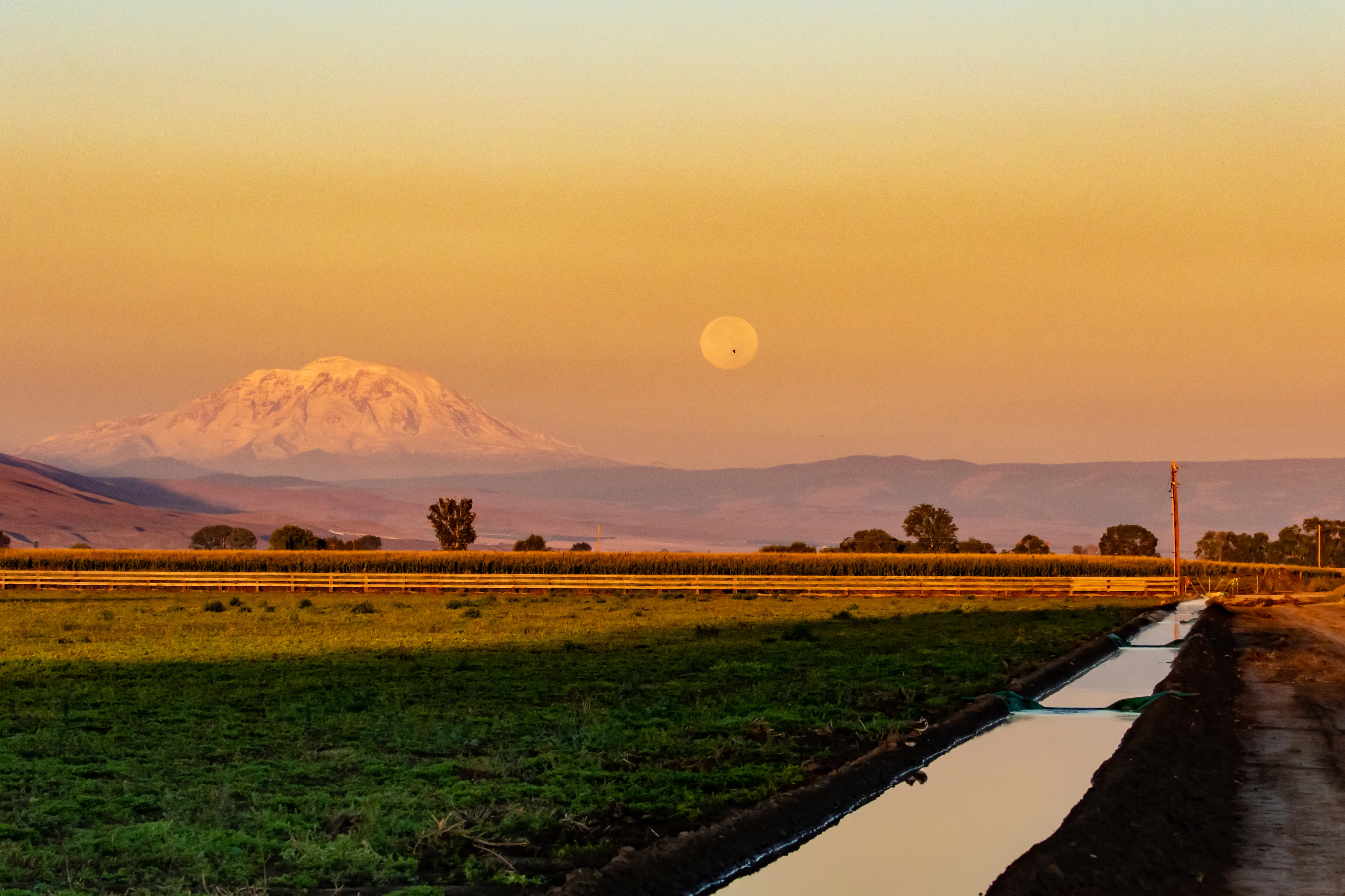 Sunnyside, Washington